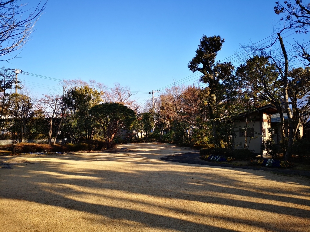 f:id:asato418:20190203213222j:plain