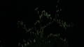 20190206213619