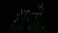 20190206213620