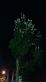 20190206213621