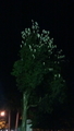 20190206213622