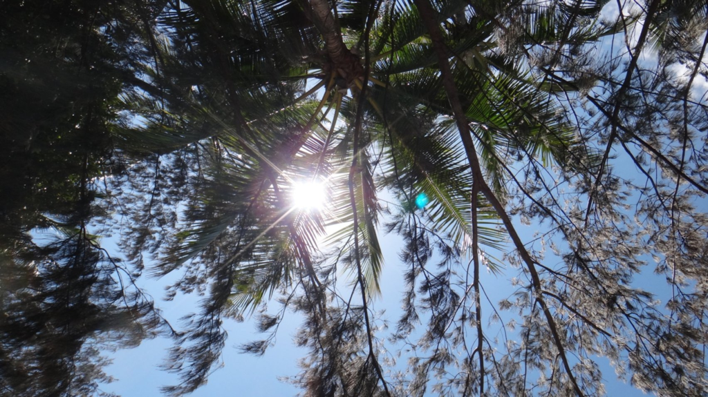f:id:asato418:20190207031839p:plain