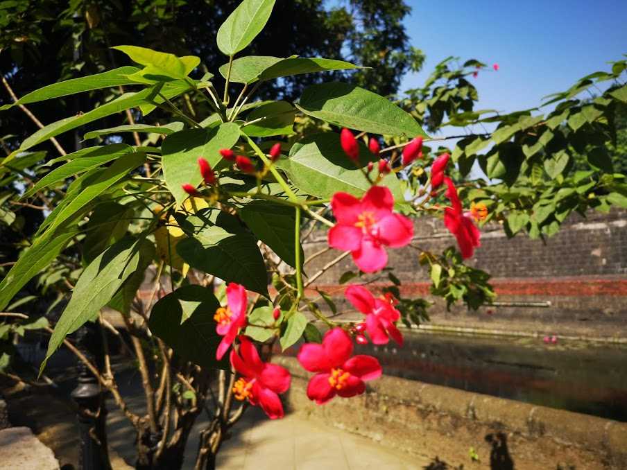 f:id:asato418:20190212224438p:plain f:id:asato418:20190212224438p:plain