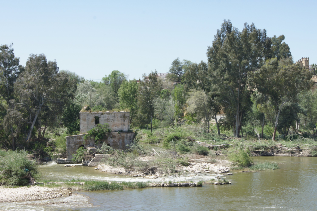 f:id:asato418:20190302163652p:plain