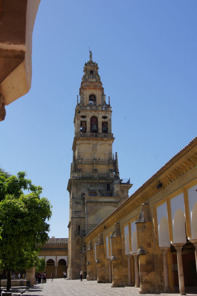 f:id:asato418:20190302165549p:plain