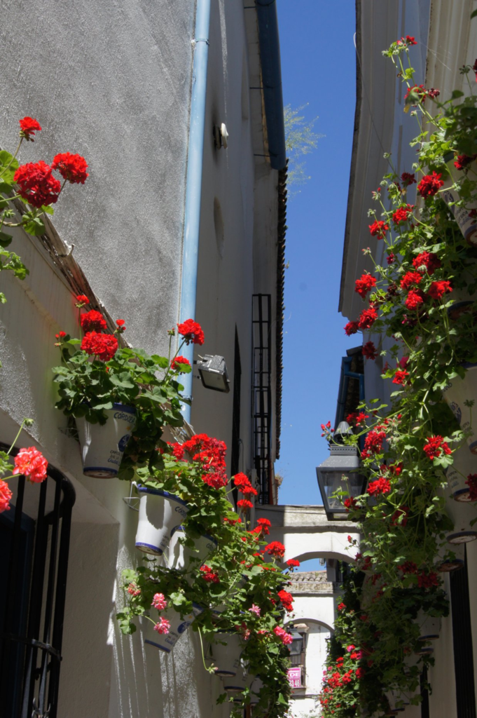 f:id:asato418:20190302165604p:plain