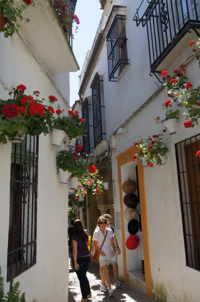 f:id:asato418:20190302165621p:plain