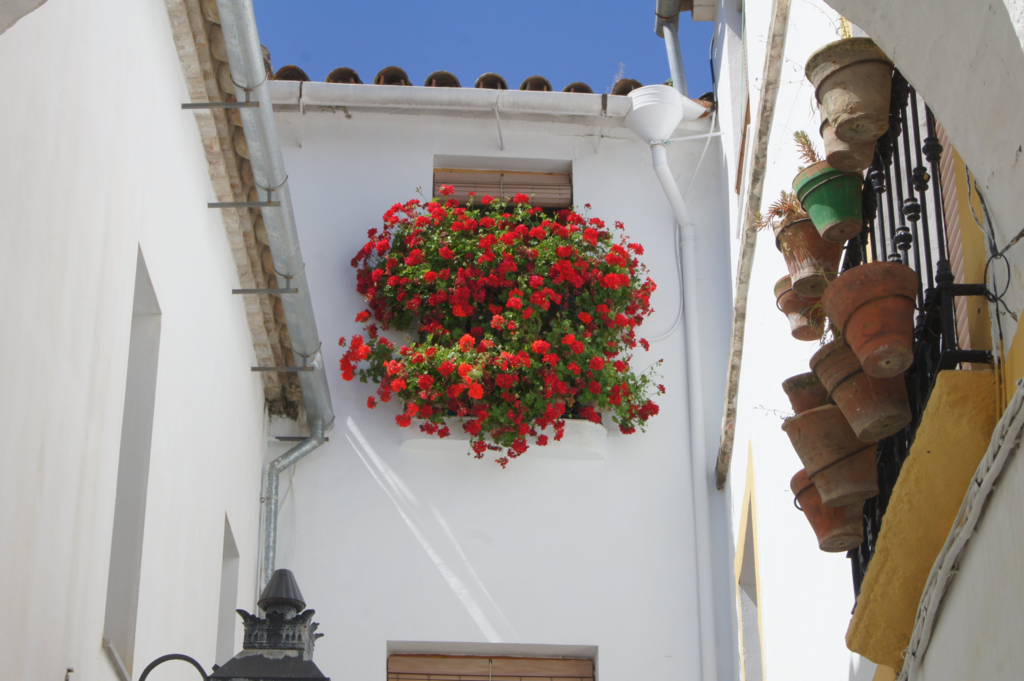 f:id:asato418:20190302165641p:plain