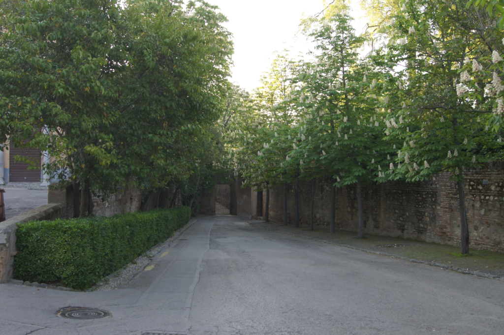 f:id:asato418:20190302171819p:plain