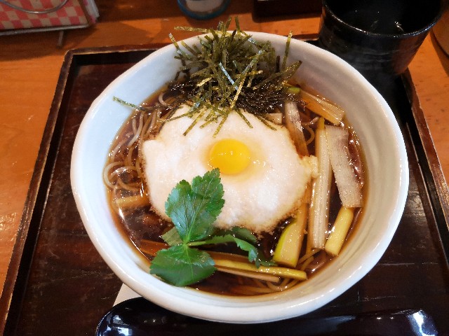 f:id:asato418:20190305133631j:plain