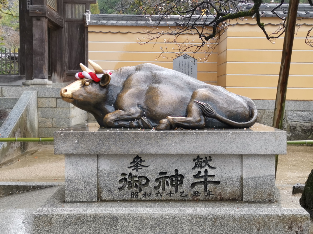 f:id:asato418:20190318211229p:plain