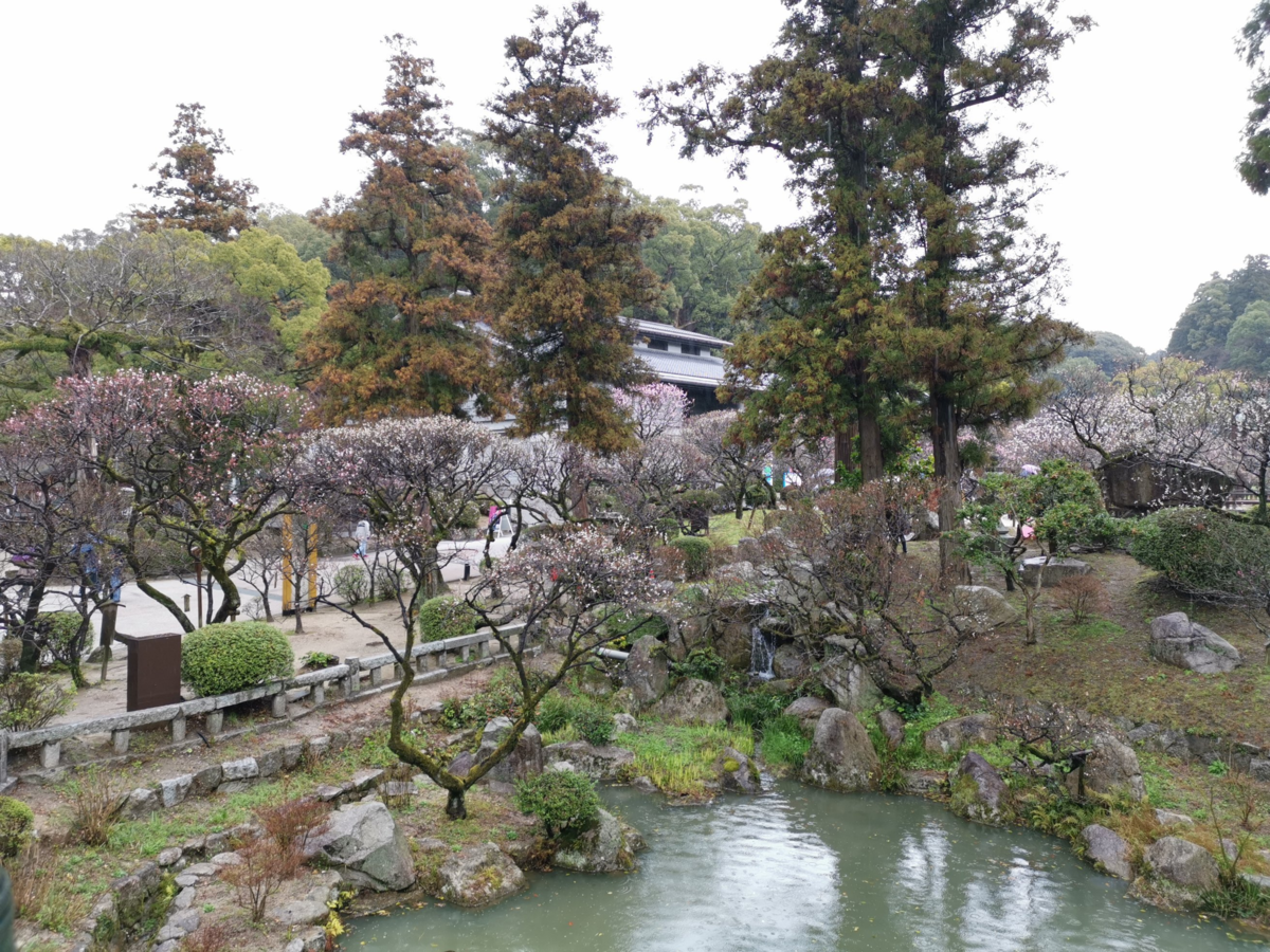 f:id:asato418:20190318211558p:plain