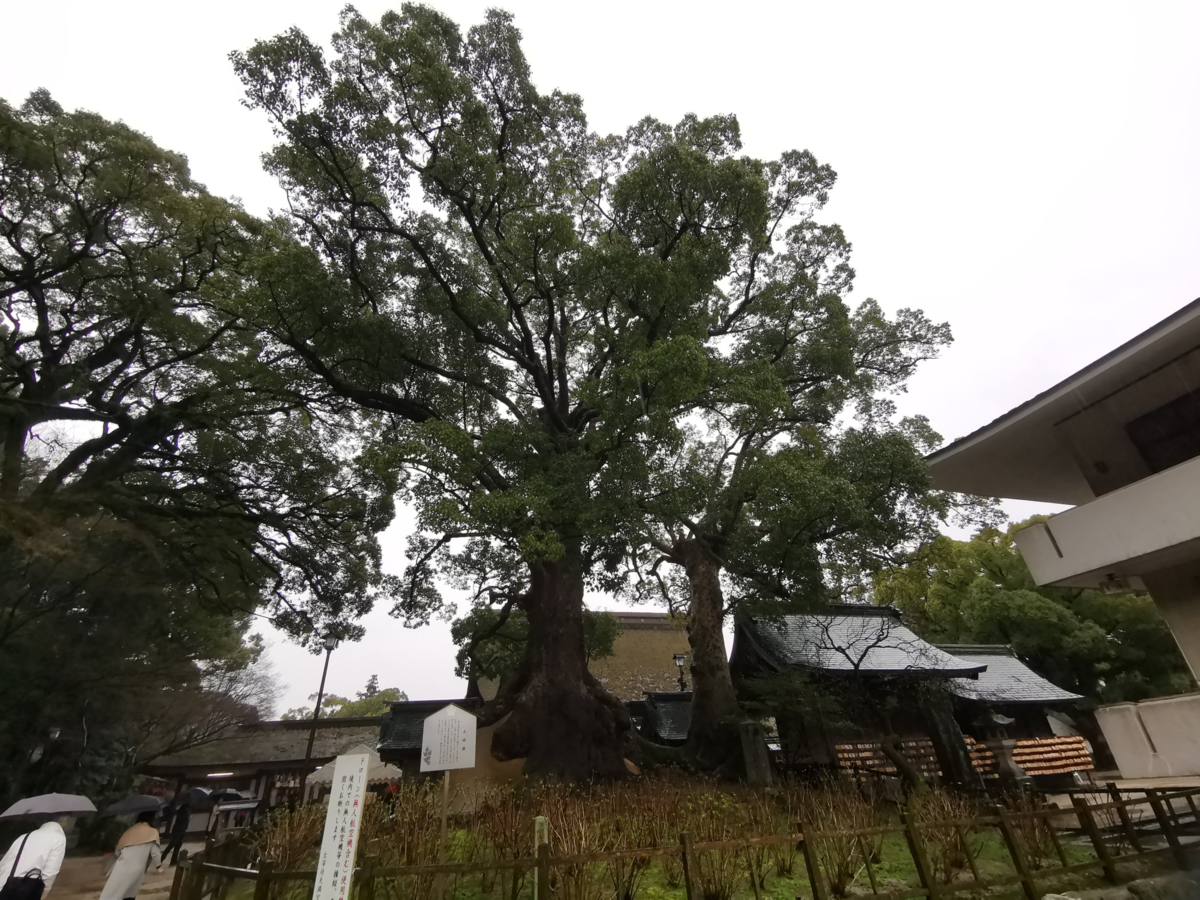 f:id:asato418:20190318213517p:plain