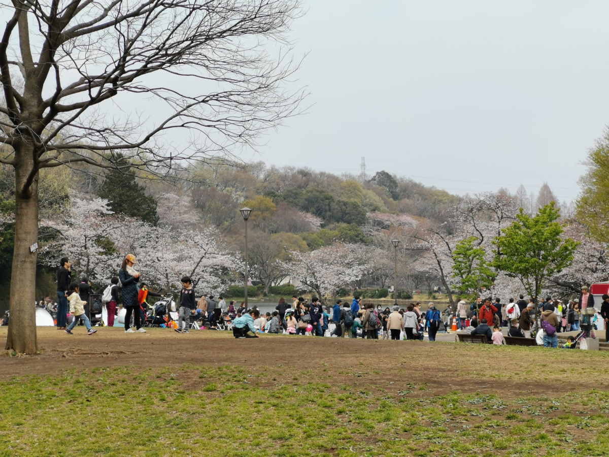 f:id:asato418:20190405220540p:plain f:id:asato418:20190405220540p:plain