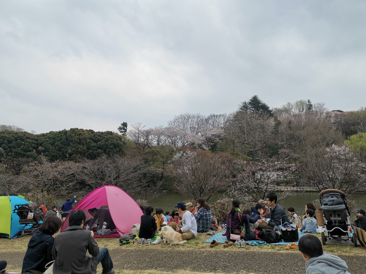 f:id:asato418:20190405221244p:plain f:id:asato418:20190405221244p:plain