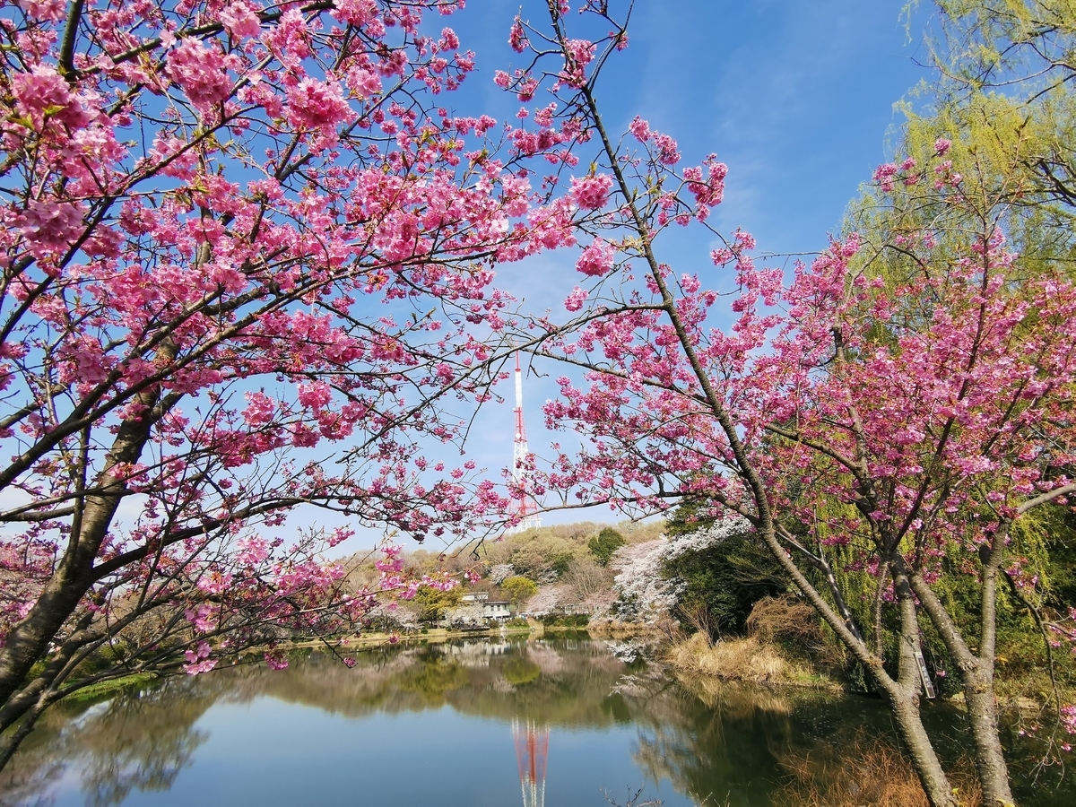 f:id:asato418:20190405223338j:plain