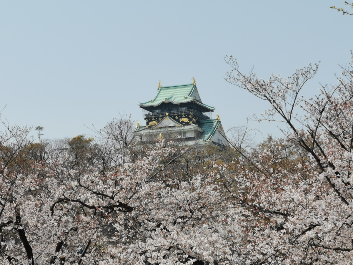 f:id:asato418:20190413231903p:plain