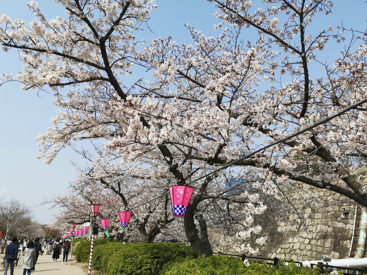 f:id:asato418:20190413233635j:plain