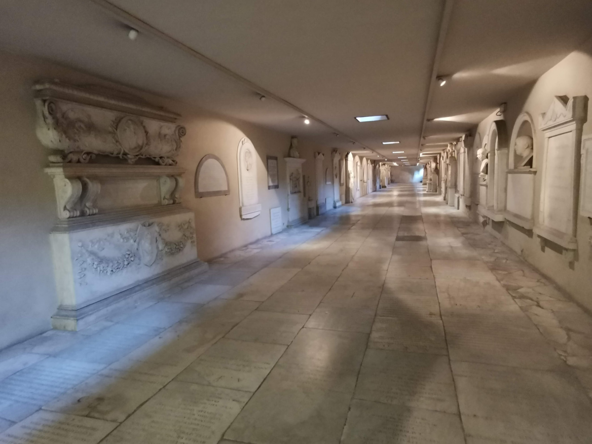 f:id:asato418:20190415234705p:plain f:id:asato418:20190415234705p:plain