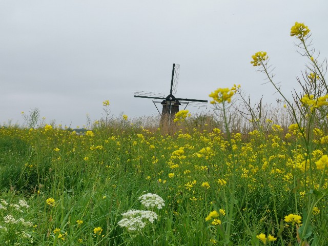 f:id:asato418:20190501020518j:plain