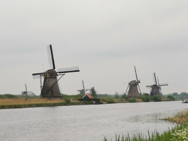 f:id:asato418:20190501022835j:plain