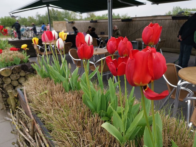 f:id:asato418:20190501024027j:plain