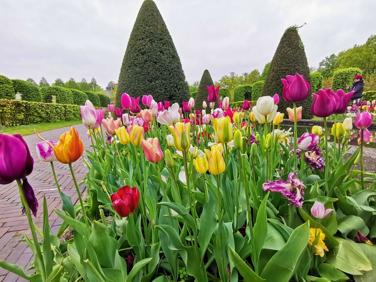 f:id:asato418:20190504172129j:plain