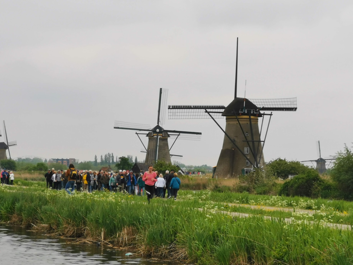 f:id:asato418:20190511205833p:plain