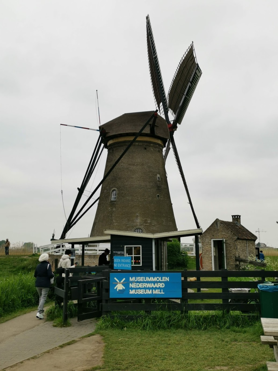 f:id:asato418:20190511210413p:plain