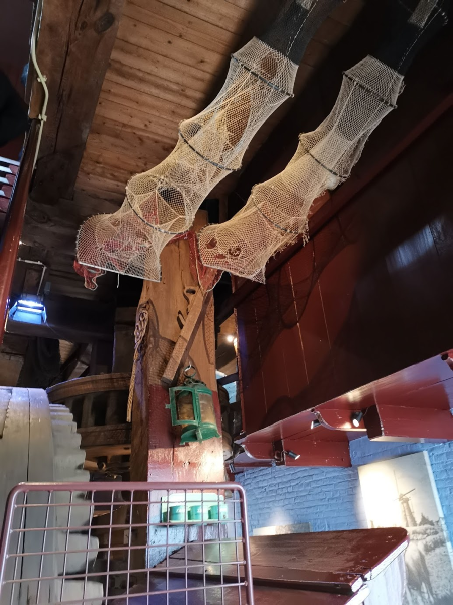 f:id:asato418:20190511210749p:plain