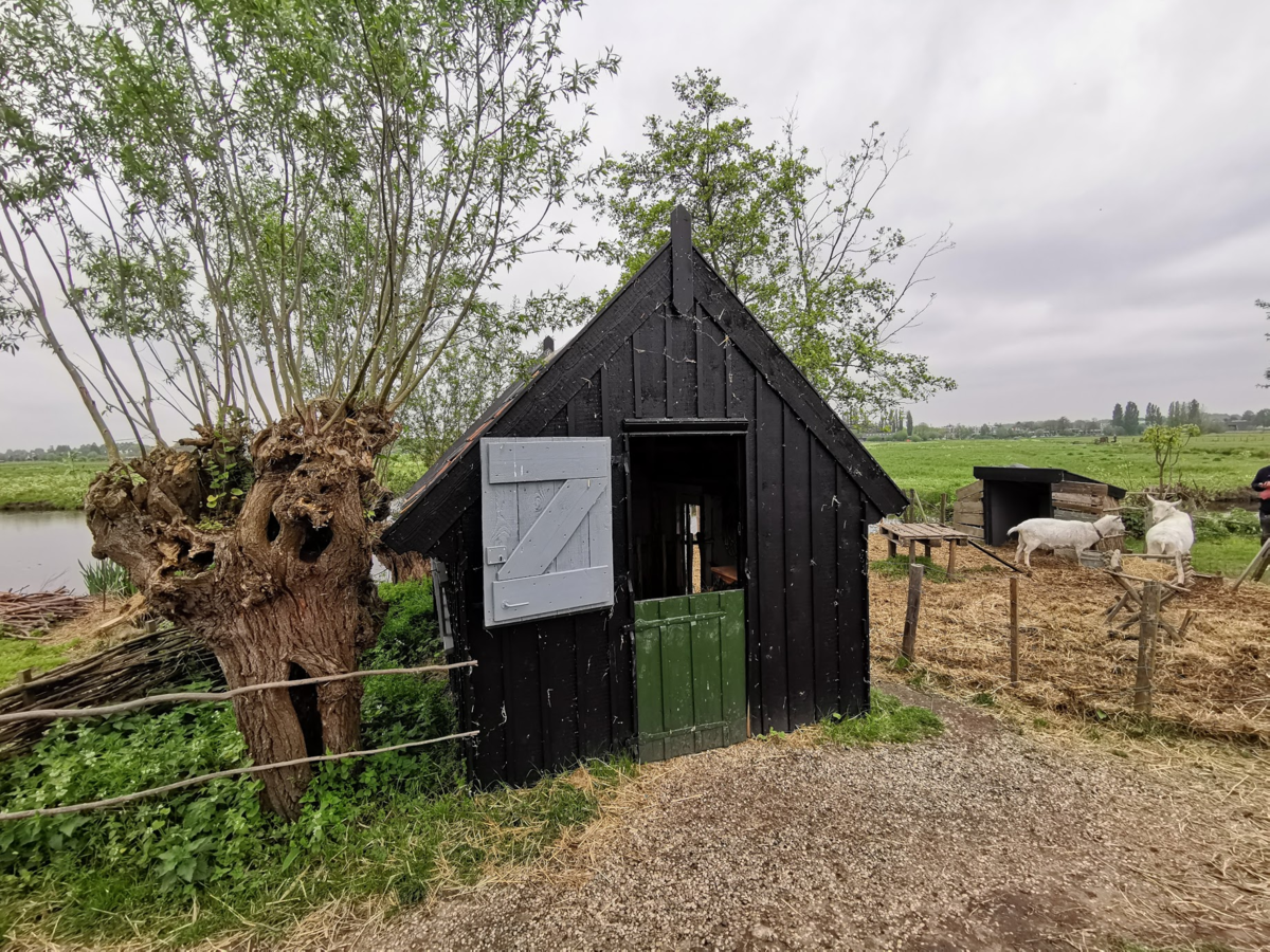 f:id:asato418:20190511212731p:plain