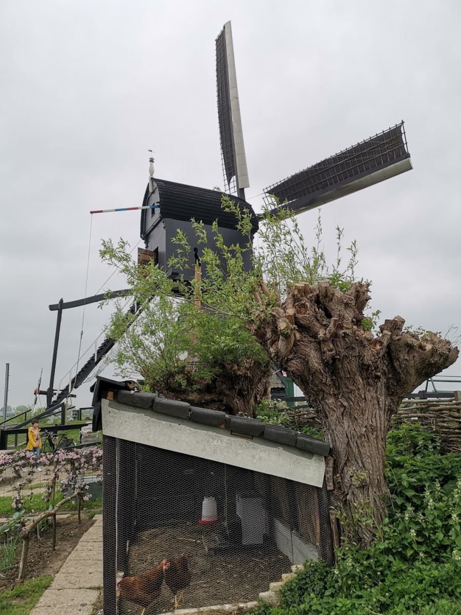 f:id:asato418:20190511212844p:plain