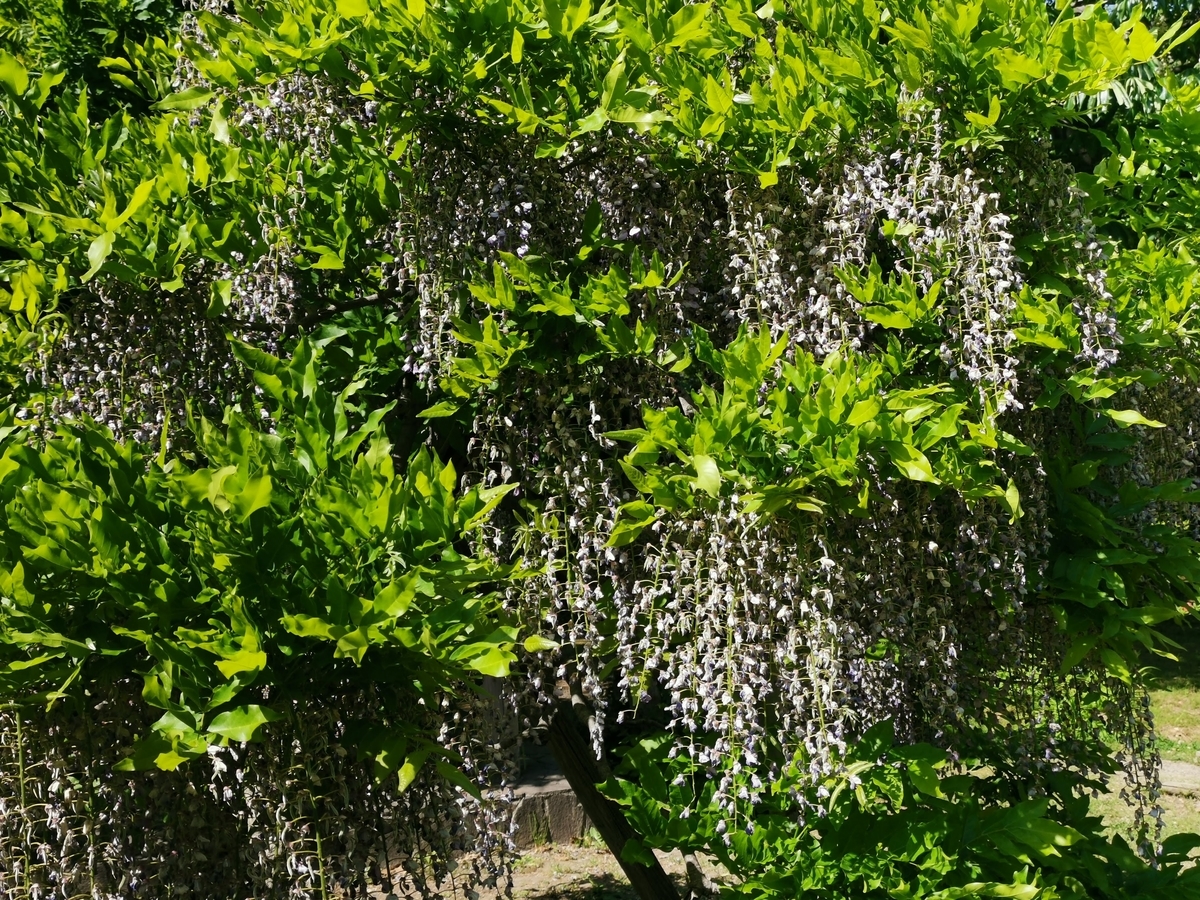 f:id:asato418:20190530010143j:plain