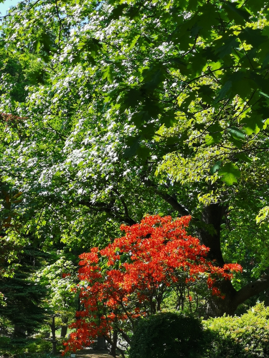 f:id:asato418:20190530010502j:plain