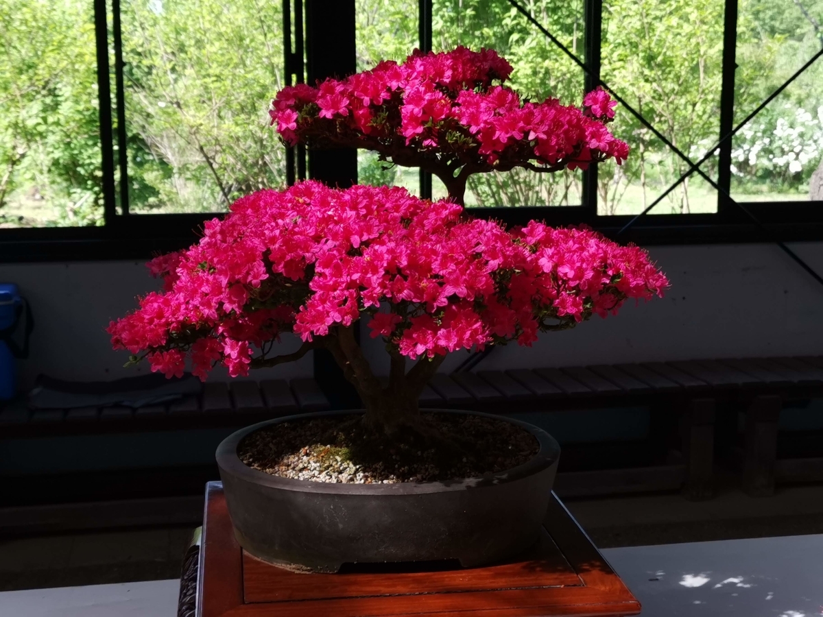 f:id:asato418:20190530010711j:plain