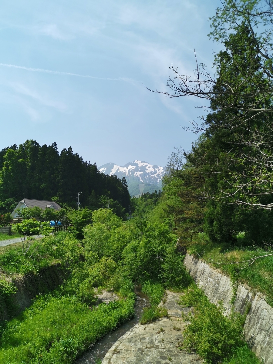 f:id:asato418:20190602233745j:plain