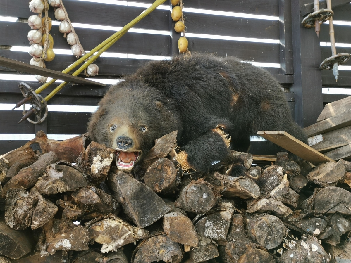 f:id:asato418:20190602234103j:plain