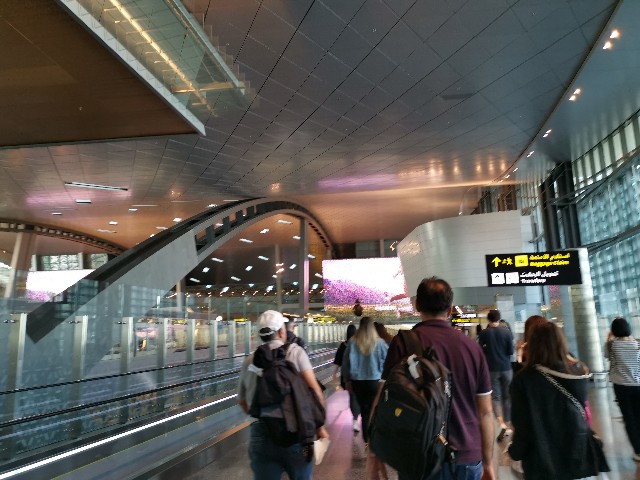f:id:asato418:20190609053124j:plain
