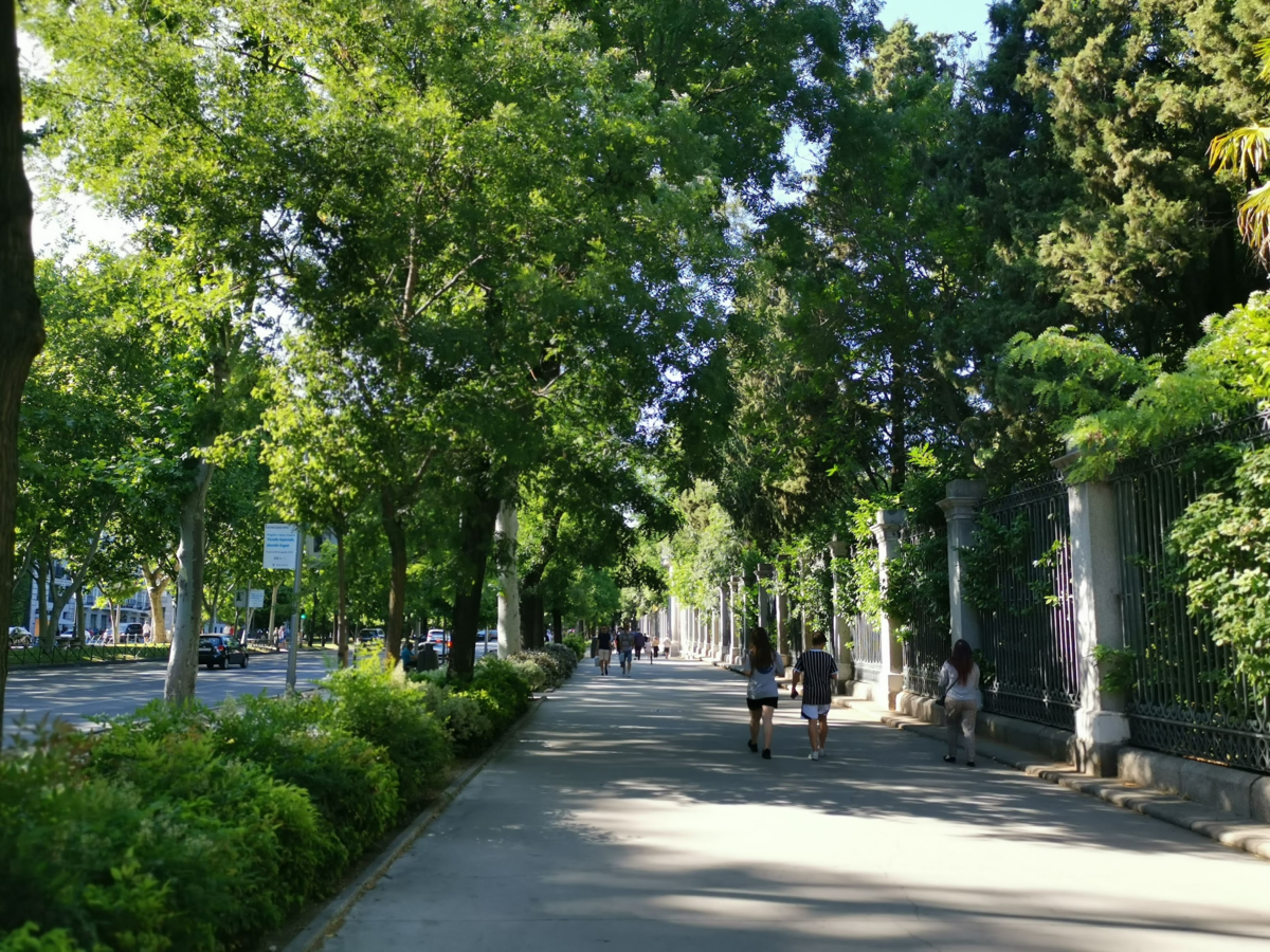 f:id:asato418:20190619004729p:plain