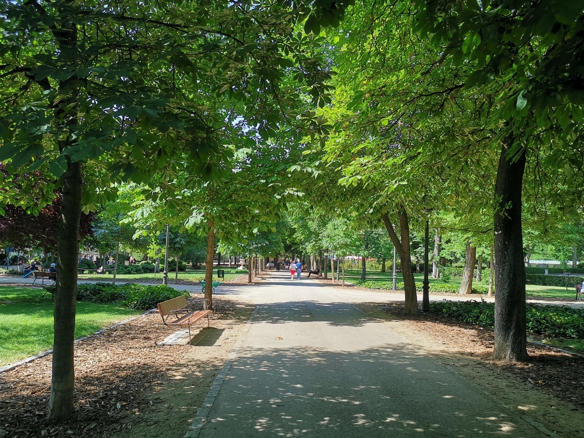 f:id:asato418:20190620222125j:plain