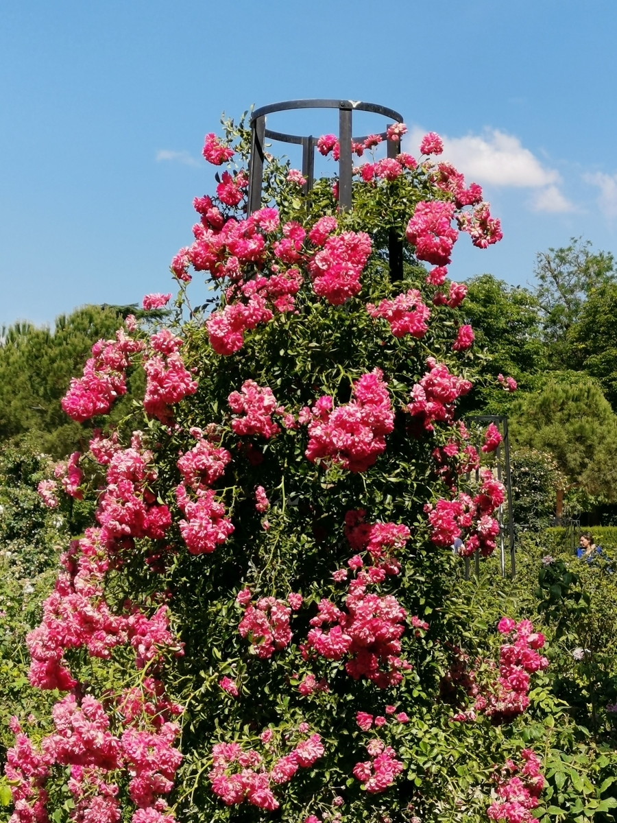 f:id:asato418:20190620223051j:plain