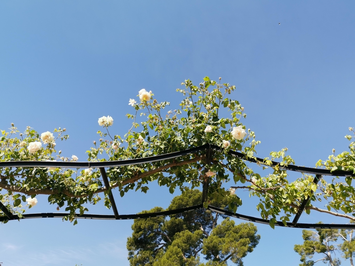 f:id:asato418:20190620223135j:plain