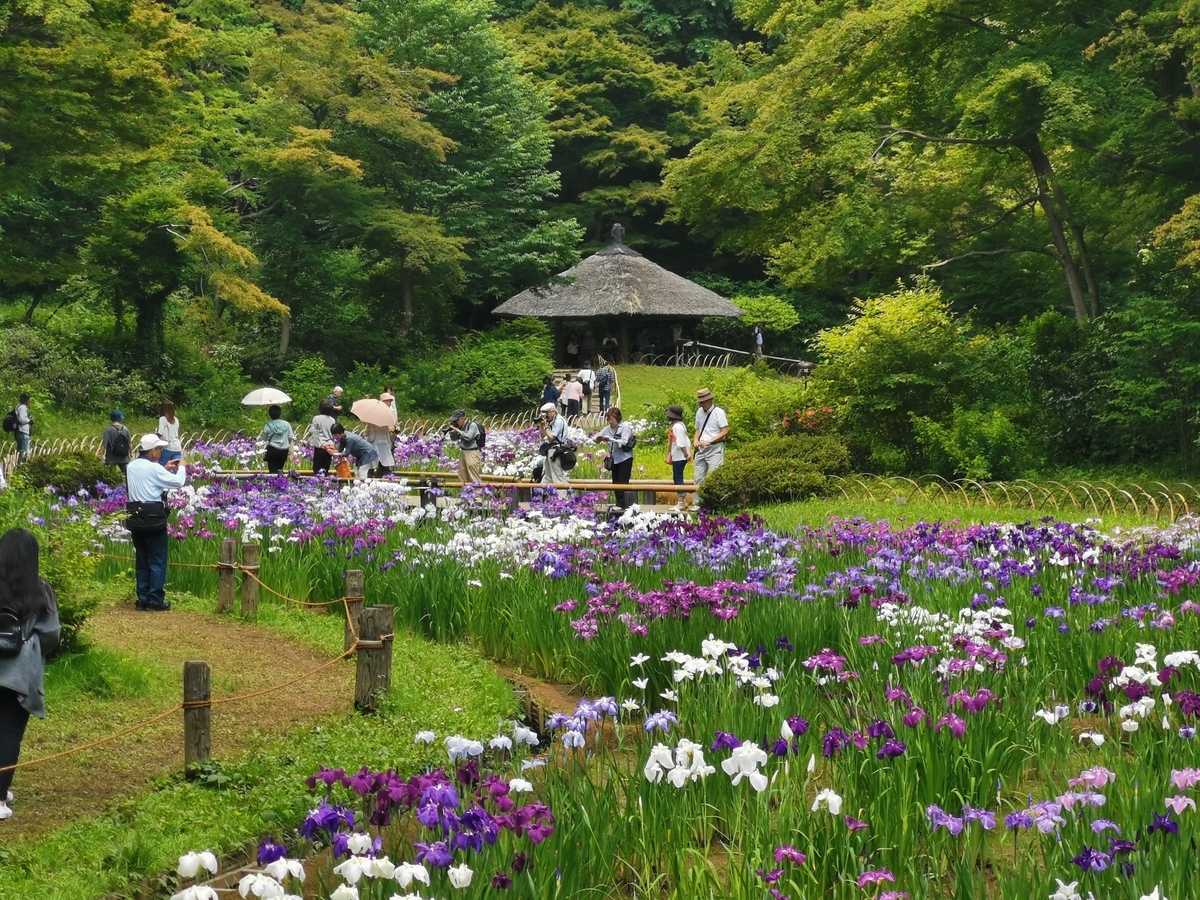 f:id:asato418:20190622233838j:plain f:id:asato418:20190622233838j:plain