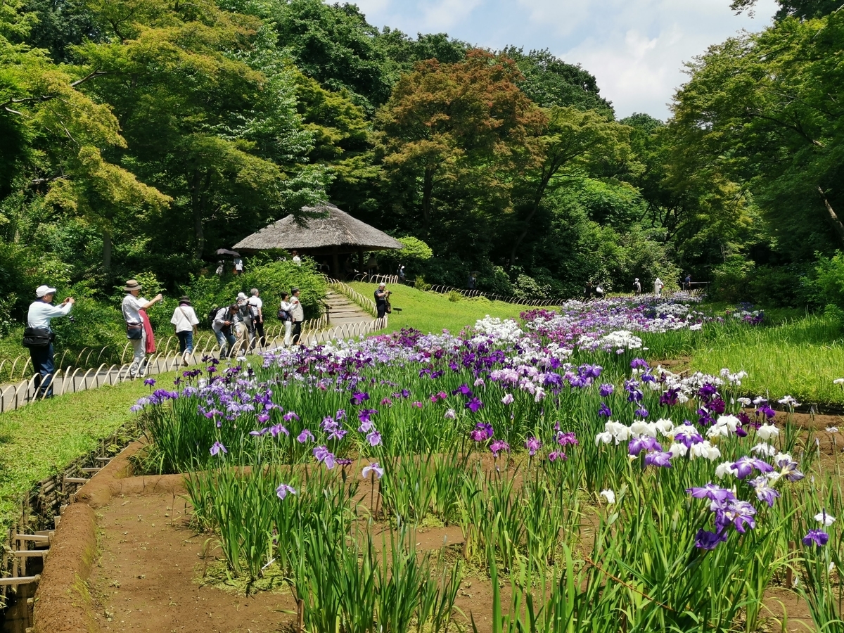 f:id:asato418:20190622234059j:plain f:id:asato418:20190622234059j:plain