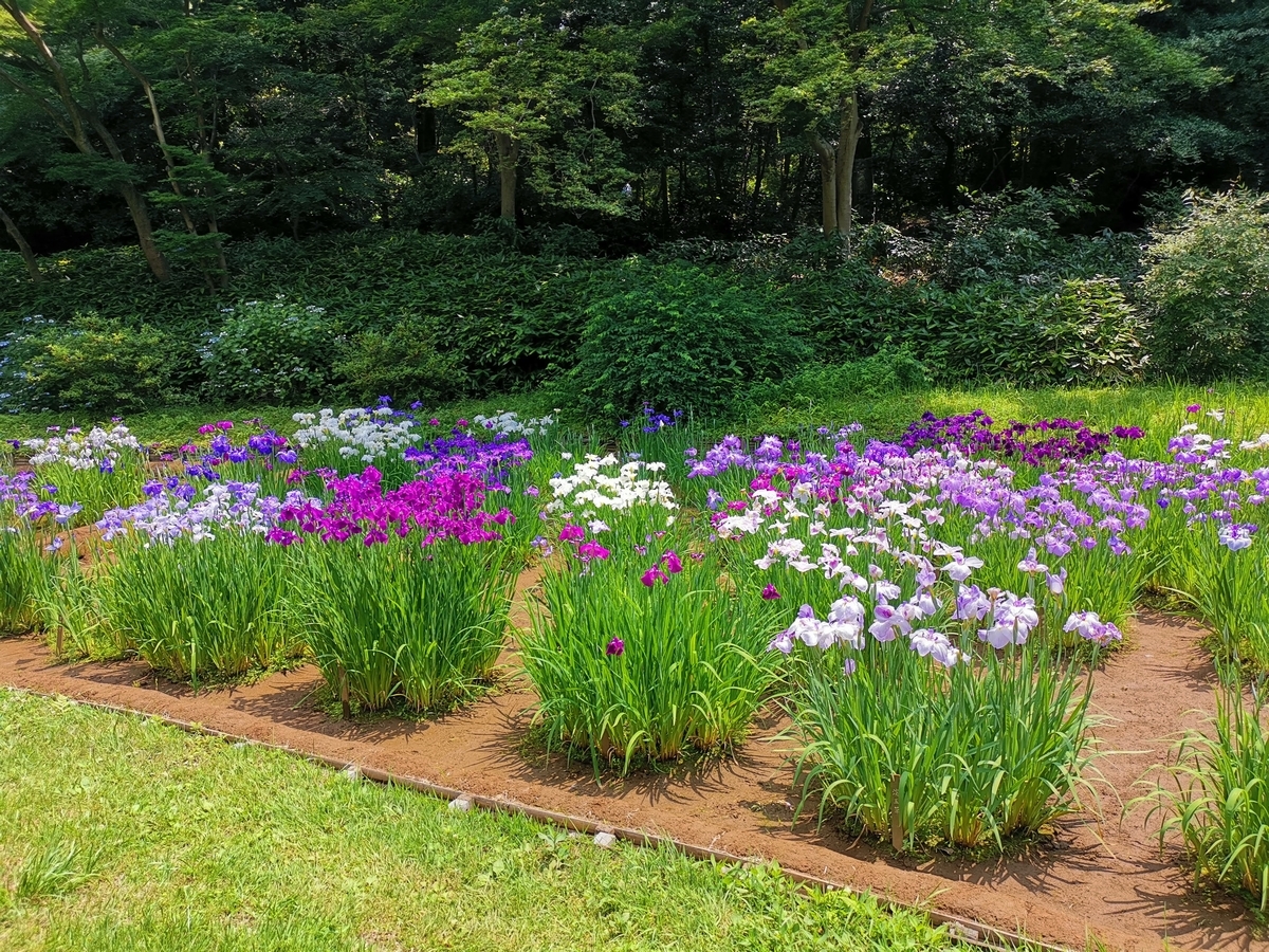 f:id:asato418:20190622234130j:plain f:id:asato418:20190622234130j:plain