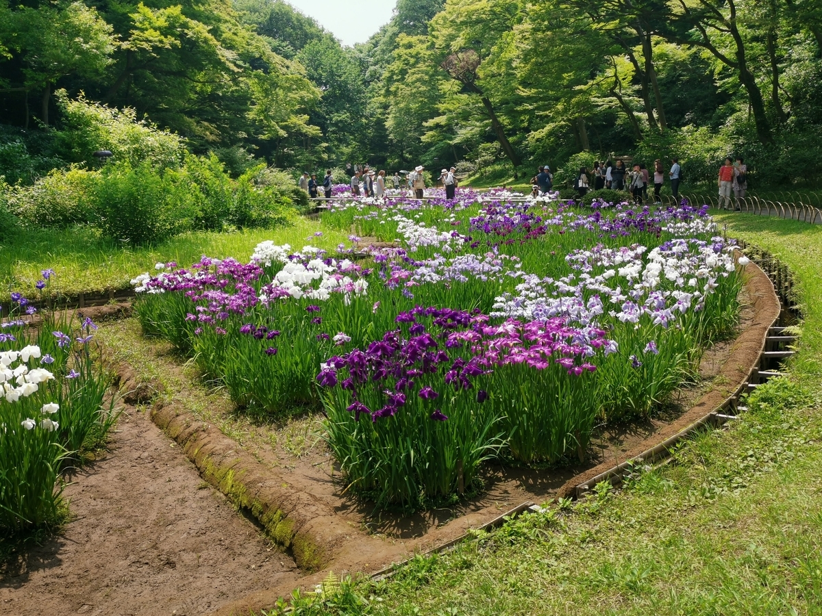 f:id:asato418:20190622234155j:plain f:id:asato418:20190622234155j:plain