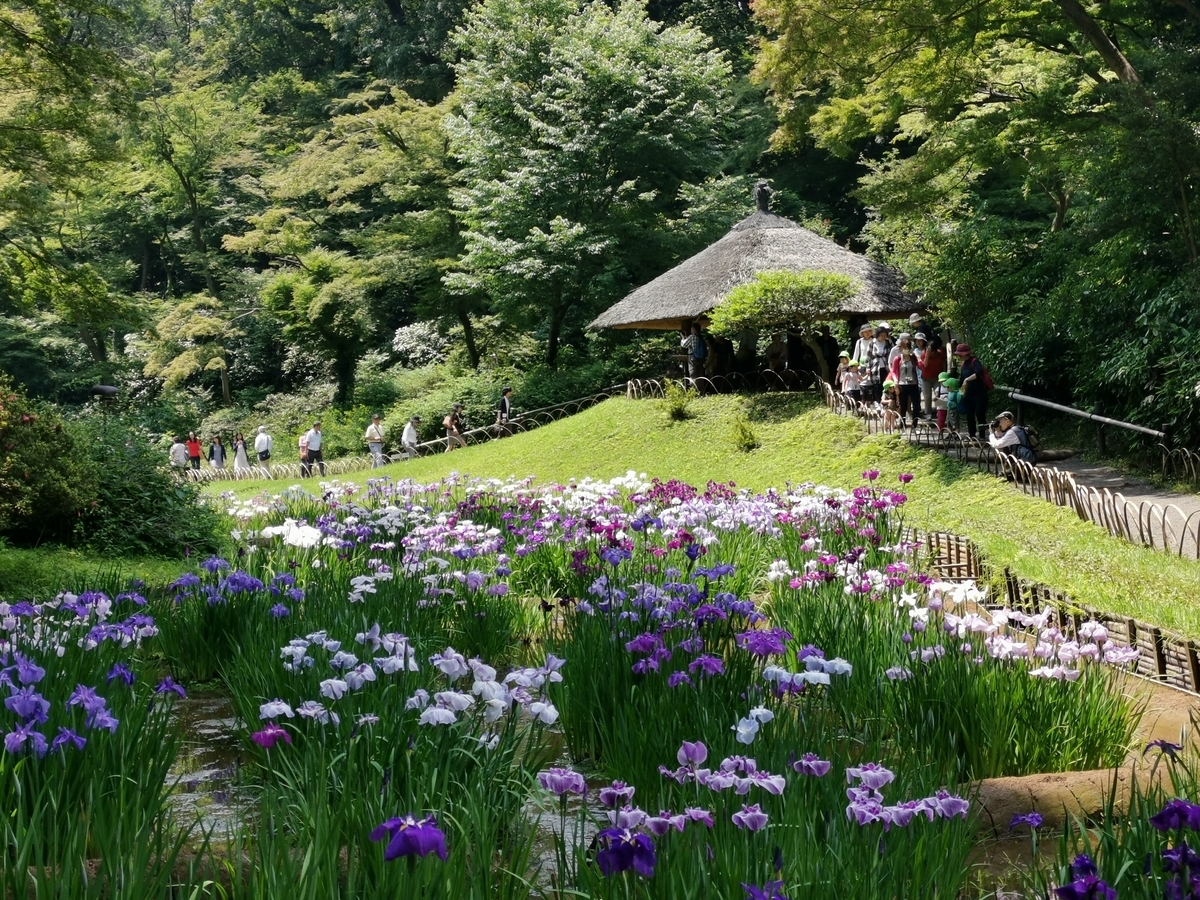 f:id:asato418:20190622234622j:plain f:id:asato418:20190622234622j:plain