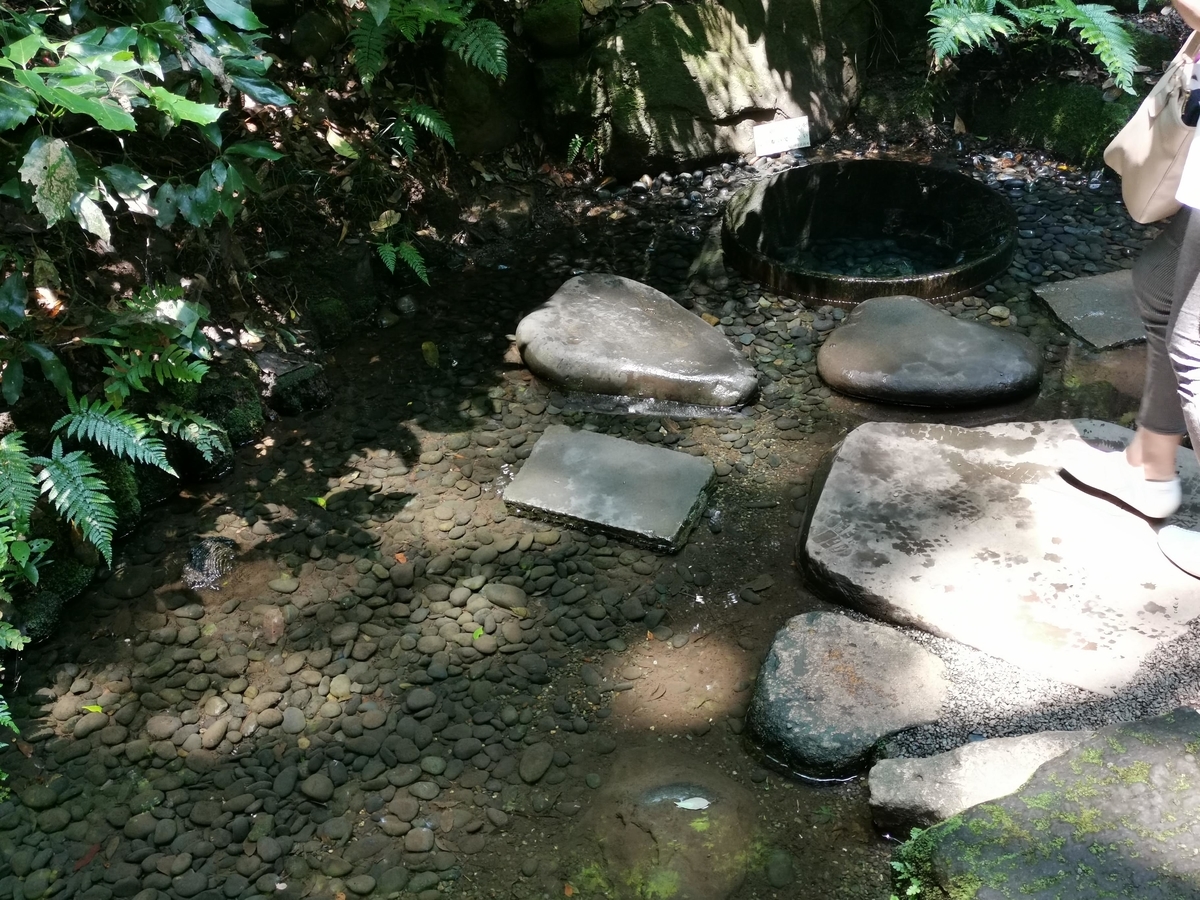 f:id:asato418:20190622234643j:plain f:id:asato418:20190622234643j:plain