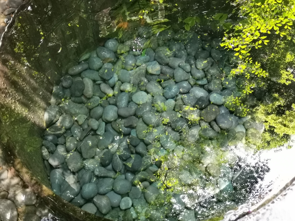 f:id:asato418:20190622234732j:plain f:id:asato418:20190622234732j:plain