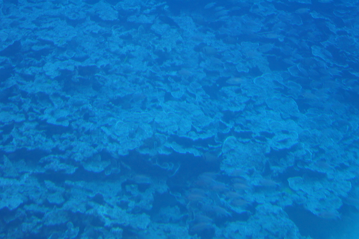 f:id:asato418:20190629174712j:plain